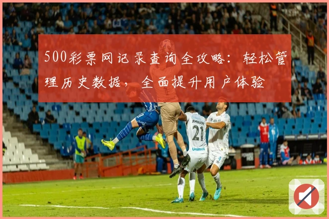 500彩票网记录查询全攻略：轻松管理历史数据，全面提升用户体验