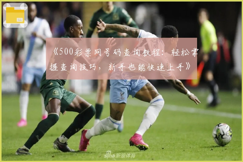 《500彩票网号码查询教程：轻松掌握查询技巧，新手也能快速上手》