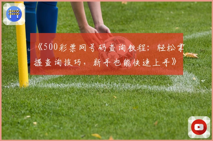 《500彩票网号码查询教程：轻松掌握查询技巧，新手也能快速上手》